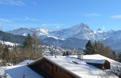 Ollon Ski Chalet | Marguerites