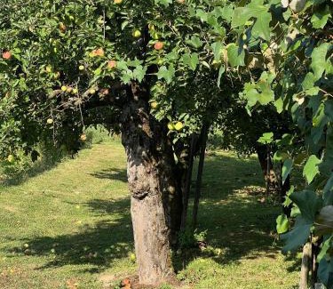 Rogaska Slatina House | Maria's Orchard Cottage - Nature Retreat in Slovenia