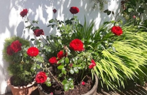 Kinsale Cottage | Marian Cottage. Fully restored 19c cottage. Sleeps 3. Parking. Kinsale