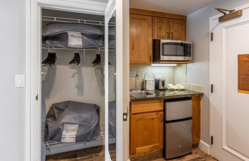 Elk Point Apartment | Marriott's Timber Lodge - Stunning Studio Sleeps 4