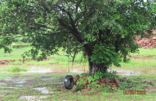 Tural House | MARS Jungle Adventure Stud Farm with Private Jacuzzi