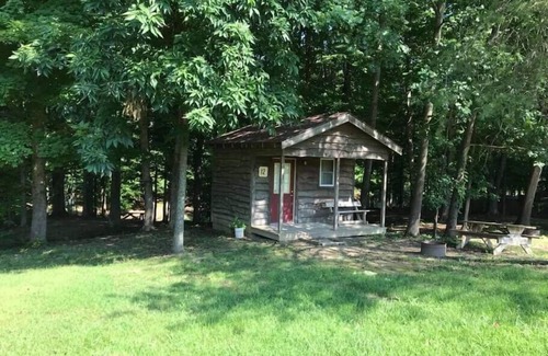 Helmsburg Cabin | "Martin" Camping Cabin #12 | Pet Friendly