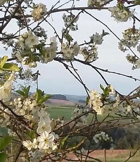Euscheid Bed & Breakfast | Martine-Hoeve