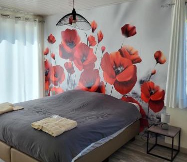 Templeuve Bed & Breakfast | Mary's Poppies - Bed & Breakfast