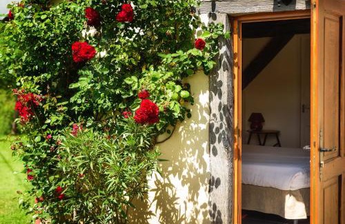 Neuilly-le-Real Bed & Breakfast | Masoe des Chatards