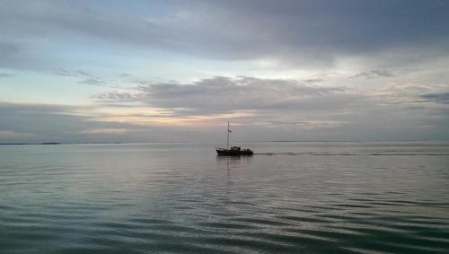 Nida Boat Rental | Matsya Yacht