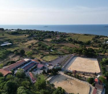 Gumusdere Resort | MAVİ AT HOTEL Blue Horse