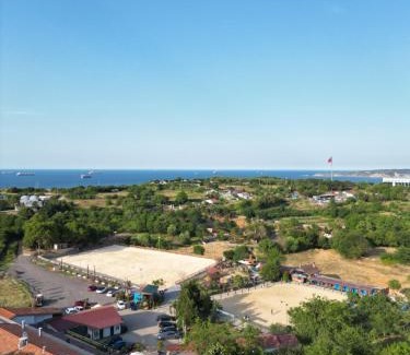 Gumusdere Resort | MAVİ AT HOTEL Blue Horse