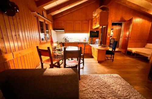 Les Marecottes Apartment | Mazot Agora & Spa Family Trip - Chalet Ouest R+1