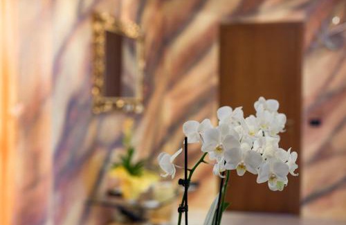 Abano Terme Apartment | MB Place Abano Terme