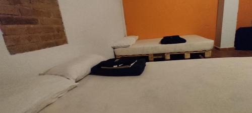Catedral Hostel | Mediterraneo Youth Hostel