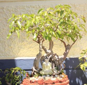 Belur House | Meeslu Mane, The Chic HomeStay
