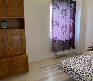 Ocna Sibiului Apartment | Melinte Maria