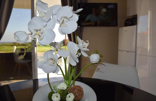 Kivisili House | MERSINERA Paradise Garden 2
