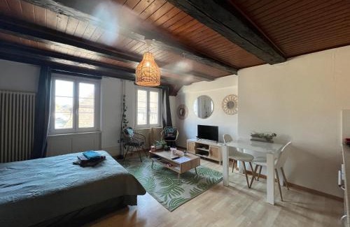 Porrentruy Apartment | Meunier tu dors ! au pied du Moulin