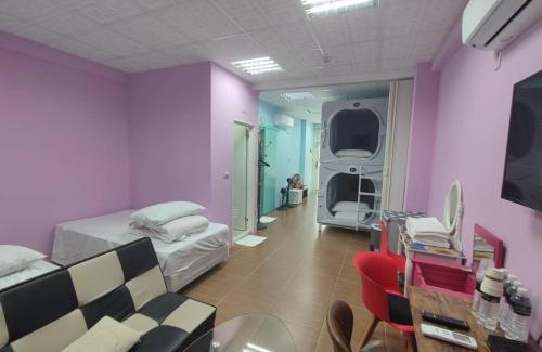 Sanyi House | Miaoli Sanyi Bo Wu Guan Homestay