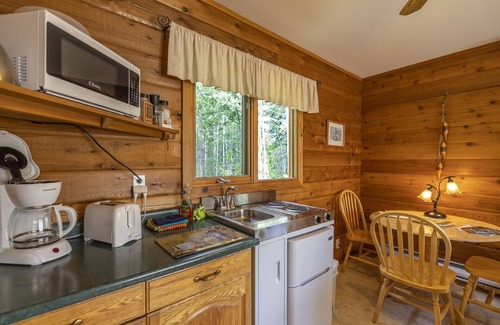 Tete Jaune Cache Hotel | Mica Mountain Lodge & Bear at Mt Robson Park near Jasper Nat. Park AB