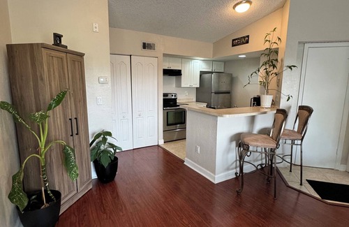 South Semoran Apartment | Mid-Century Studio Apt in Orlando near MCO Airport