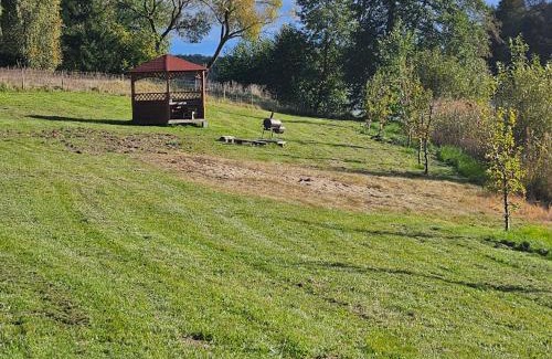 Drawsko Pomorskie Other | Miejsce dla Kampera nad Jeziorem Rydzewo