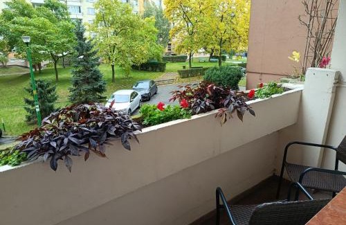 Fabryczna Apartment | Mieszkanie, Blisko Stadionu Tarczyński Arena, Blisko Hala Orbita