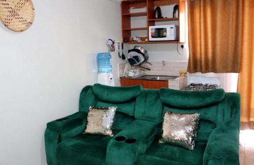Nakuru Apartment | Milele studio bnb