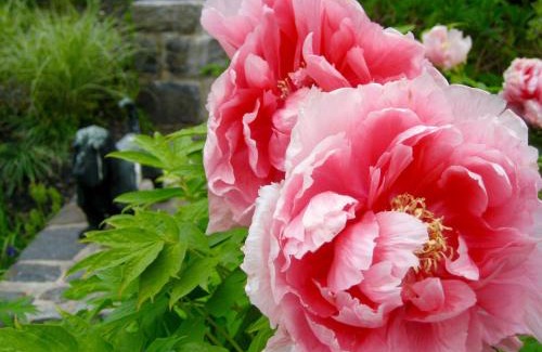 Millbrook Bed & Breakfast | Millbrook Country House