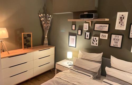 Dole Apartment | Mille et une nuit, appartement classé 3 étoiles en RDC avec exterieur et parking