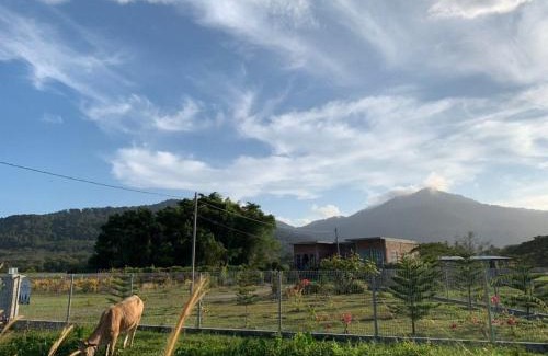 Padang Gaong House | Mimi's Pine Meadow - Where it Nourishes Our Souls