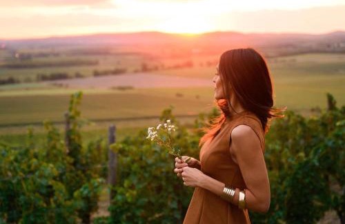 Tokaj Hotel | Minaro Hotel Tokaj - MGallery Collection