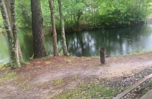 Allen Cabin | Mini Cabin 5 Near Ocean City & Assateague On catch and release fishing lake