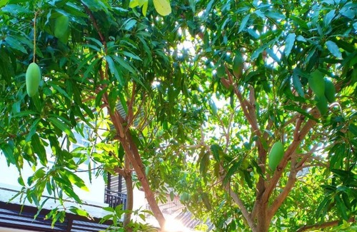 Songkhla House | Minimalist renovated comfy homestay near the road to the beach