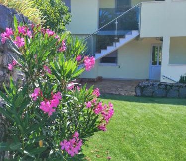 Veliki Grđevac Apartment | Mira 2