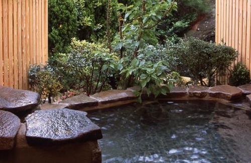 Hinagu Onsen Hotel | Misakitei