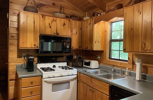 Saluda Cabin | Miss Jo's.Remote Cabin with Outdoor Hot tub