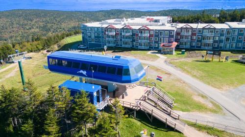 Snowshoe Apartment | ML229 Mountain Escape Great for Relaxing Near Village