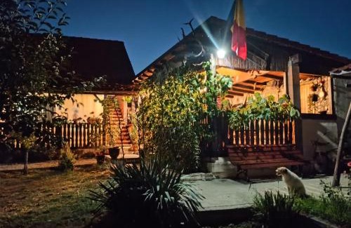 Ocna Sibiului House | Moșia lu' Mișu
