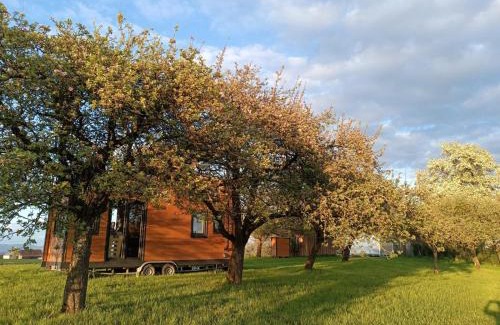 Mayrhof Apartment | Mobile Tinyhouse by Wolfsberger