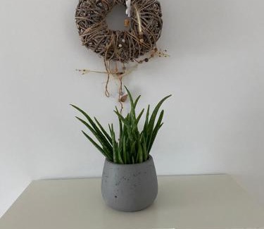 Neustadt an der Weinstrasse Apartment | Modernes City-Appartement