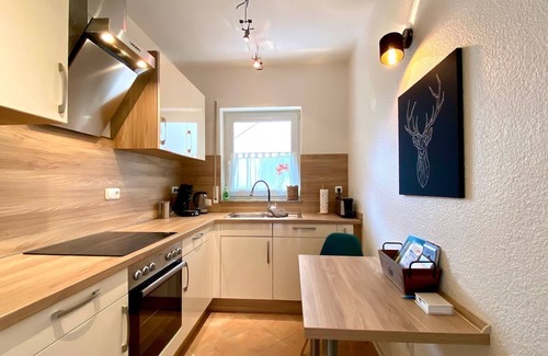 Mainz-Bingen Apartment | Modern apartment in the beautiful World Heritage Upper Middle Rhine Valley