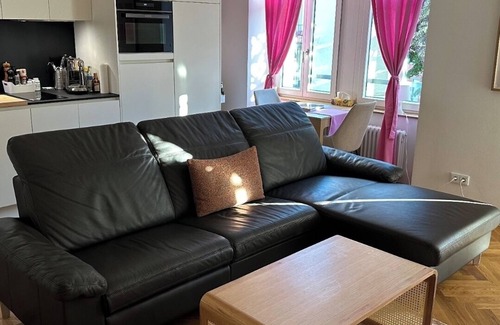 Waldshut-Tiengen Apartment | Modern apartment Smart Tv and parking near old town and train station