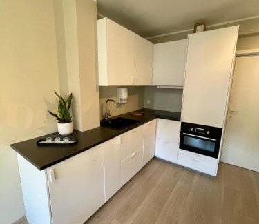 Laksevag Apartment | Modern apartment ONLY 5 minutes from City Centre
