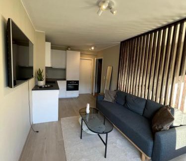 Laksevag Apartment | Modern apartment ONLY 5 minutes from City Centre
