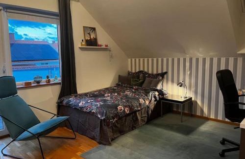 Vastra Frolunda Villa | Modern stor villa nära havet och 10 min till city