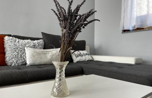Lenti Apartment | Modern two bedroom flat with balcony