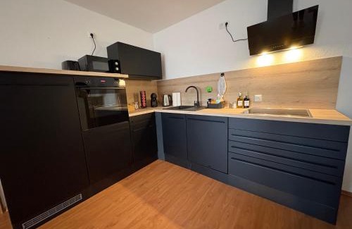 Thannhausen Apartment | Modernes Serviced Apartment - FeWo Franken Idyll