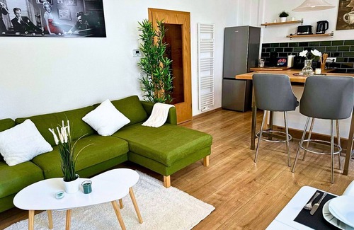Iserlohn Apartment | MOLA Apartments- Stylish old town apartment-Seilersee-terrace-grill-free WLAN