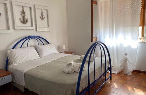 Scario Apartment | Molly House