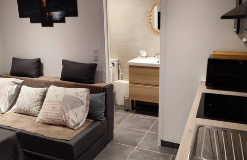 Joinville-le-Pont Apartment | MON SAFARI EN BORD DE MARNE +NETFLIX