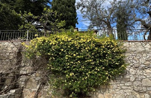 Calenzano Apartment | Monastero del 600 vista Firenze