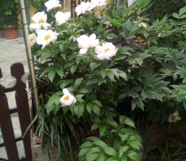 Rivarone Bed & Breakfast | Monferrato Inn